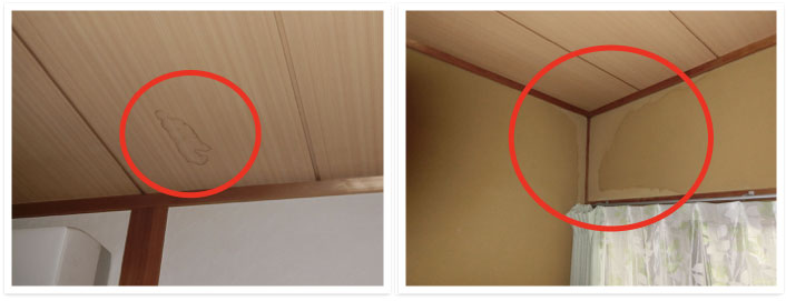 雨樋では受けきれずオーバーフロー