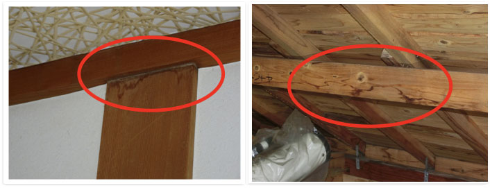 雨樋では受けきれずオーバーフロー