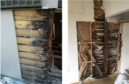 雨漏りが原因で白蟻被害に