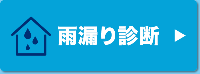 雨漏り診断